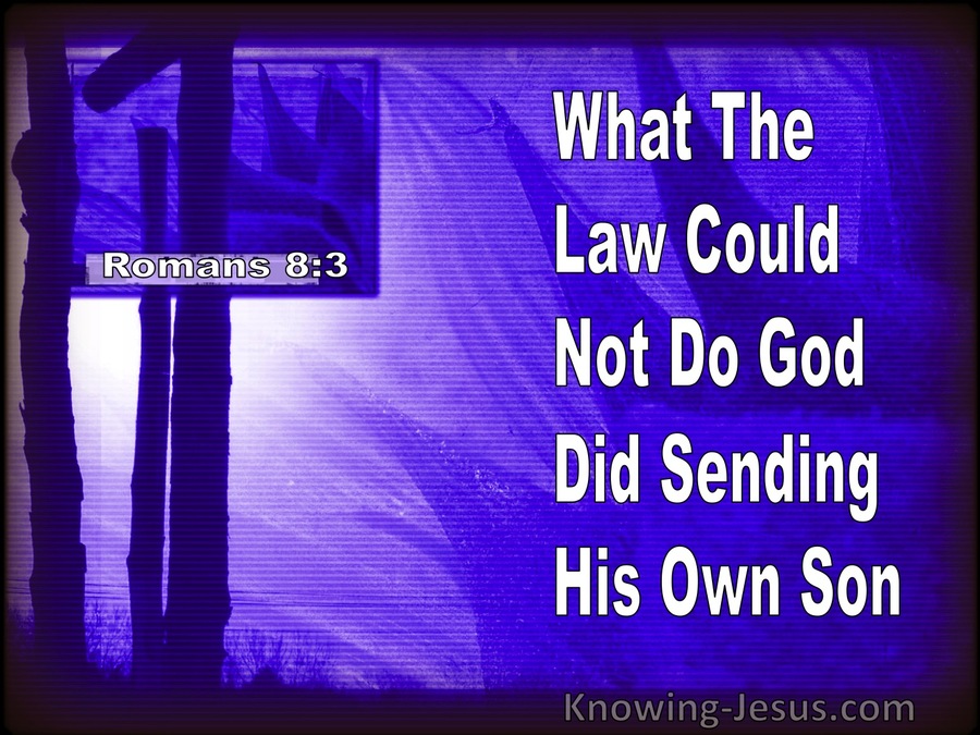 Romans 8:3 What The Law Could Not Do God Did Sending His Own Son (purple)